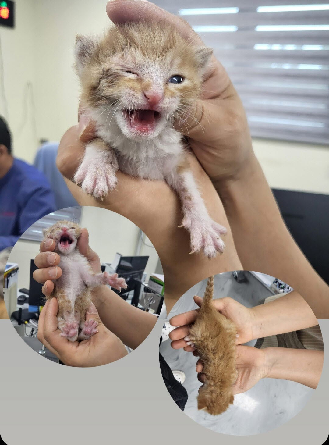 믹스묘 이미지 파일 입니다.